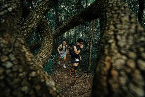 BIB: 
                            <button type="button" onclick="openModal(25668296)" class="btn btn-primary btn-sm float-right btn-popup" data-toggle="modal" data-target=".modal-high-quality">
                        <i class="fas fa-shopping-cart"></i> Add to Cart
                    </button>
                                            <button type="button" onclick="isThisMe(25668296, true)" class="btn btn-success btn-sm float-right btn-popup btn-isme hidden" data-toggle="tooltip" data-placement="bottom" title="นี่คือรูปของคุณใช่ไหม คลิกที่นี่เพื่อเอาเข้าอัลบั้ม">
                        <i class="fas fa-plus"></i> Add to album
                    </button>
                    <button type="button" onclick="isThisMe(25668296, false)" class="btn btn-warning btn-sm float-right btn-popup btn-isnotme hidden">
                        <i class="fas fa-ban"></i> Remove from album
                    </button>